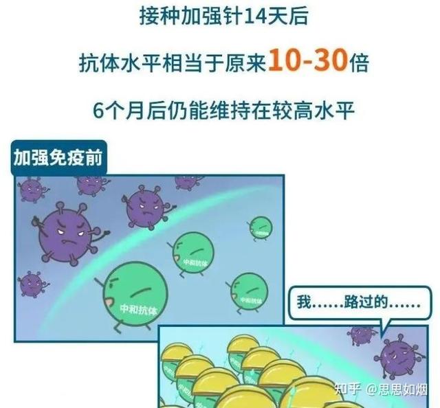 第3剂疫苗加强针要来了吗，我们普通人需要接种第三针疫苗吗