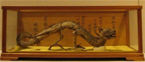 真龙被首次发现:日本瑞龙寺的真龙标本，为何明令禁止鉴定真假其中隐藏什么猫腻