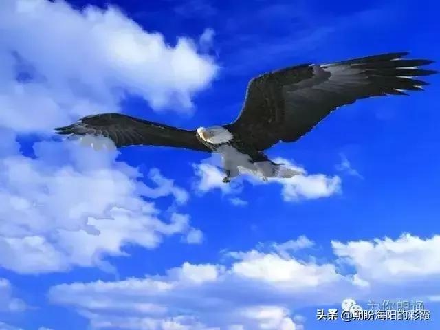 梁漱溟简介:辜鸿铭梁簌溟的书法怎么样？