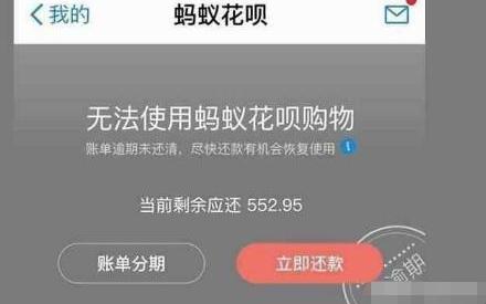 花呗怎么大面积都被停用了,出什么事了吗？