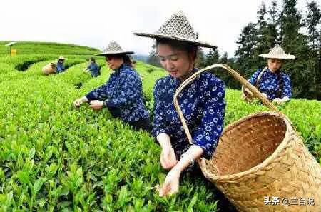 黄如论身价:中国古代历史上，福建省为什么没有一点儿存在感？