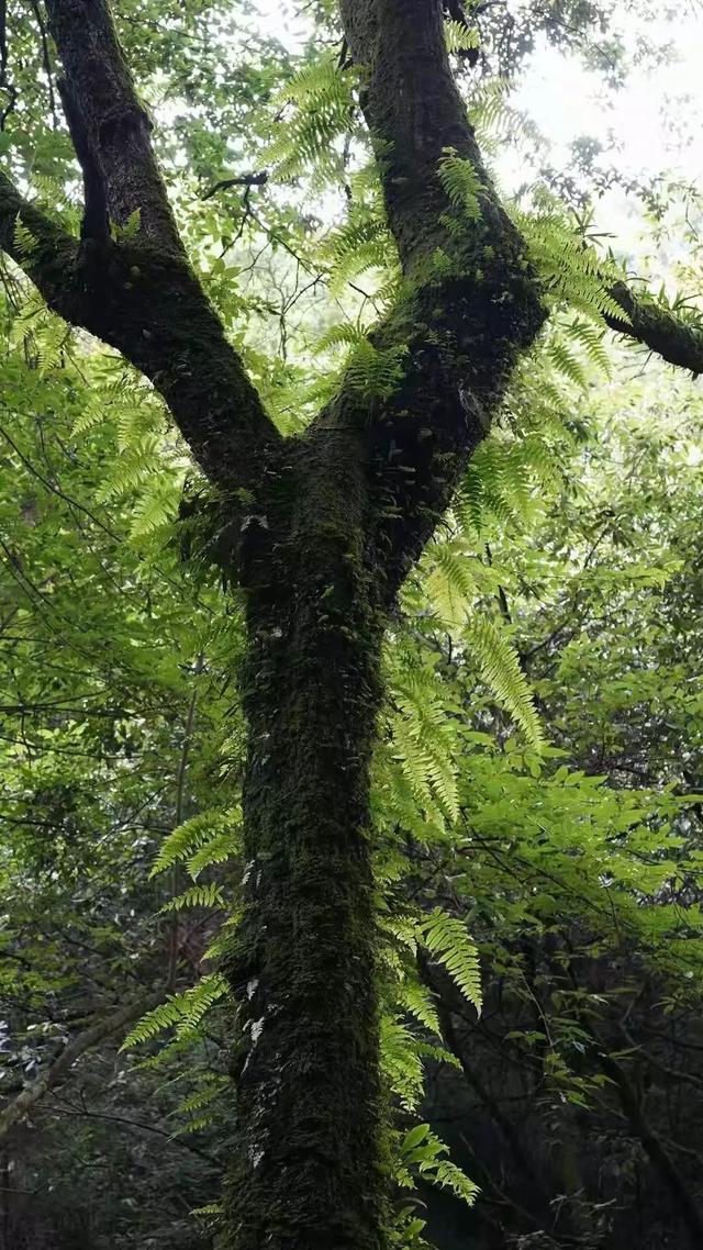 职场中不成熟的表现有哪些，职场中不成熟的表现有哪些