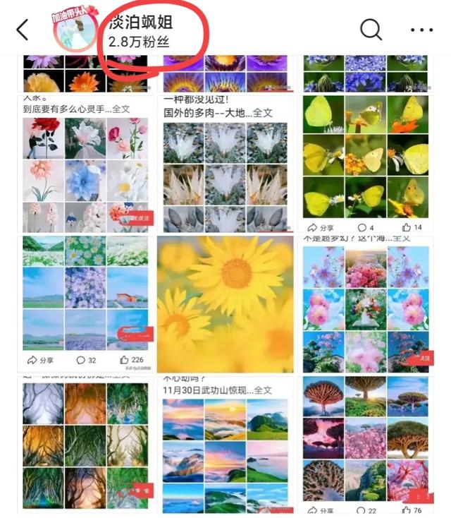 头条的淡泊飒姐和淡泊枫姐互怼,你支持谁？为什么？