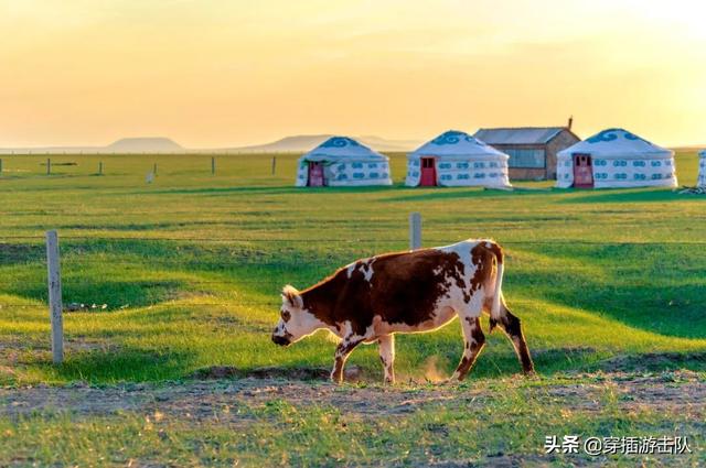 通辽创业谷，中国最会吃奶的地方在哪里？