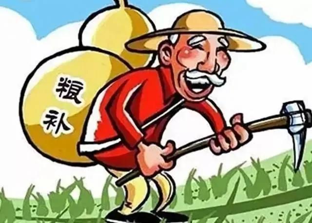 夏津白玉鸟养殖视频:粮补即将发放，是不是人人都能领取？领不到是什么原因？