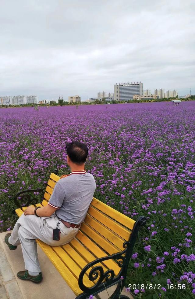 三月在岛上忘却爱情的模样,去过的景区景点有必要再去吗？