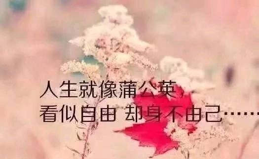 人活一輩子的最終目的是什麼