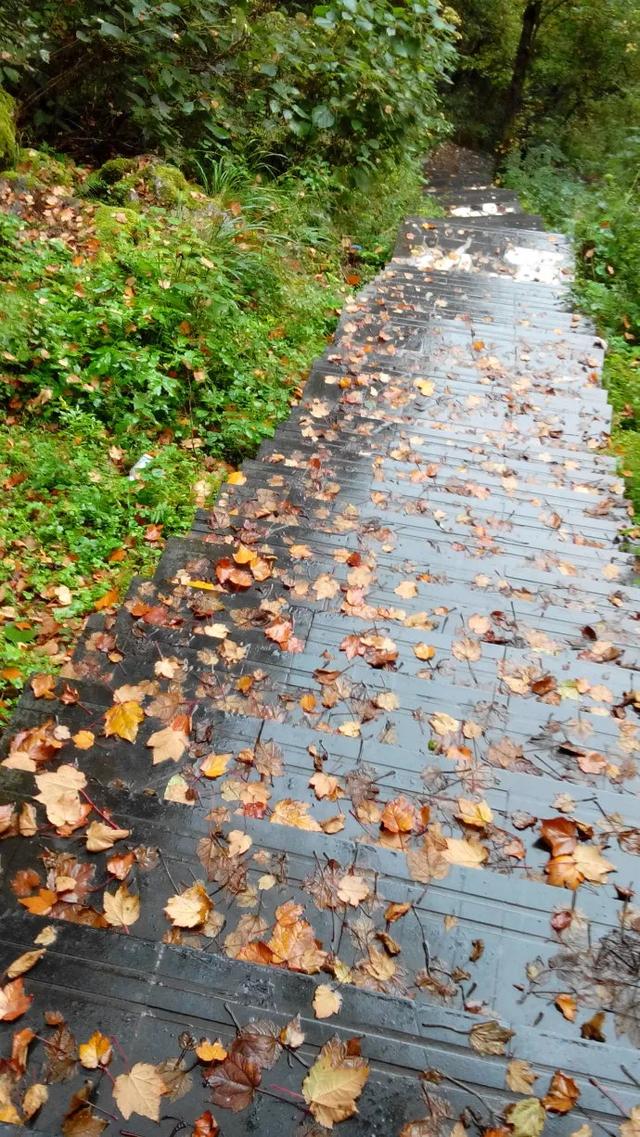 为什么古人诗词里的秋天都是萧瑟清冷凄凉忧愁的