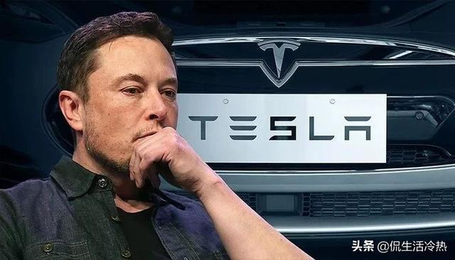 世界上最有钱的狗冈瑟:大街上到处是奔驰，宝马。为什么他们这么有钱？