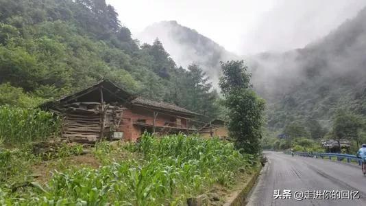 陕西蛇的种类:为什么都说秦岭最大的蛇是王锦蛇？难道秦岭没有蟒蛇吗？ 陕西分布蛇的种类