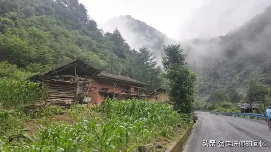 秦岭部队杀大蛇，为什么都说秦岭最大的蛇是王锦蛇难道秦岭没有蟒蛇吗