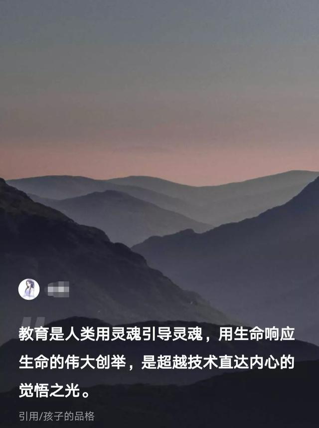 宠必达app官网:孩子写完作业能让玩会手机吗？