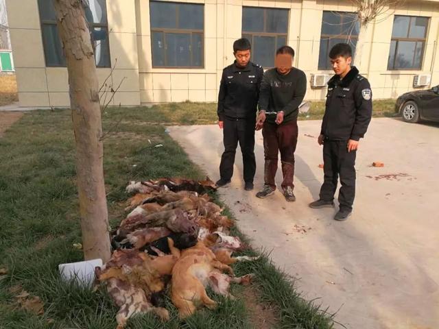 如何抓偷狗賊:农村抓到偷狗贼，一村人把嫌疑人打死了，法律责任怎么划分？