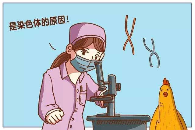生下鲸豚兽:同样是打破生殖隔离，为什么骡子怀孕必死，而狮虎兽却能生育？