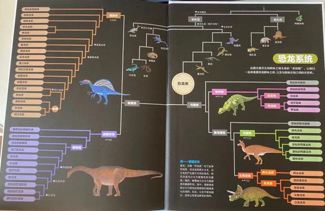 比较好的儿童恐龙书籍 关于恐龙的书籍哪些好(图10)