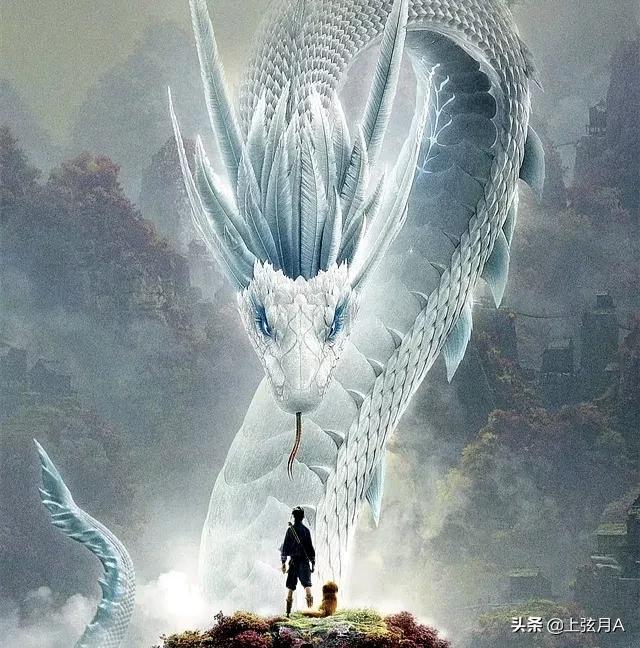 四川挖出50米大蟒蛇:农村老人常说：猪是蛇的克星，是真的吗有什么道理呢