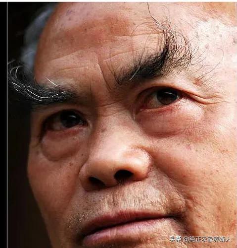 眉毛长,与什么有关?