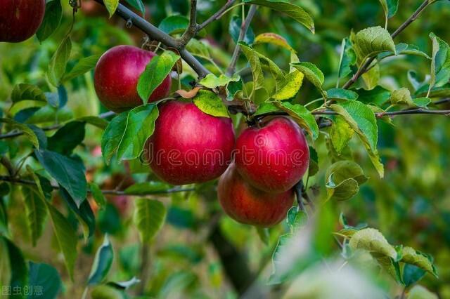 你遇到过什么样子的隔代亲？插图18