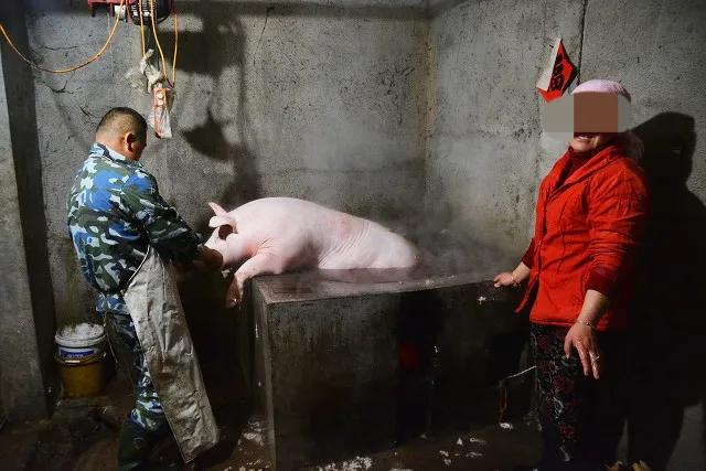 干中介一个月能挣多少钱，市场卖猪肉一个月可以赚多少钱