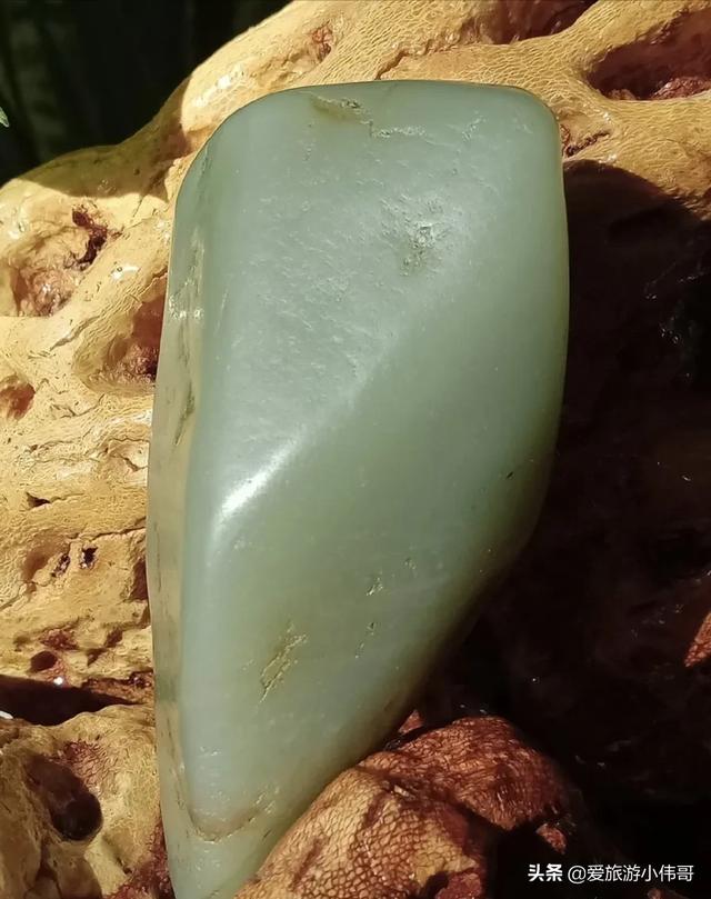 新疆的候鸟有哪些:新疆棉花质量好 新疆都有什么地方可以捡石头？现在还来得及吗？