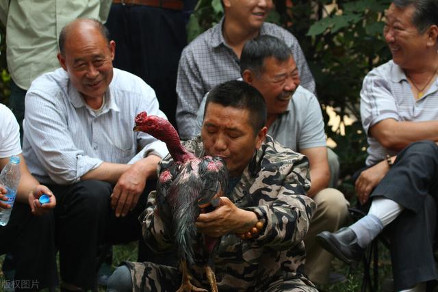 为什么走江湖的人饭量都一样大,每次吃饭都说,二斤肉,一壶酒？