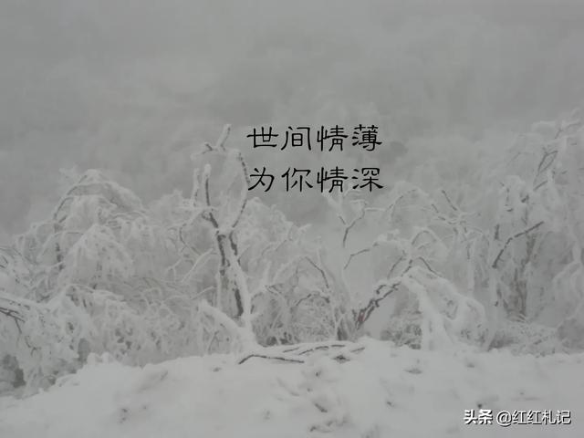 有什么句子让你莫名心酸伤感，句句扎心，红了眼眶