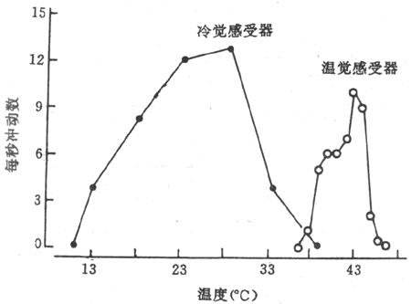 身体热的症状:为什么人类的平均体温在37度左右？