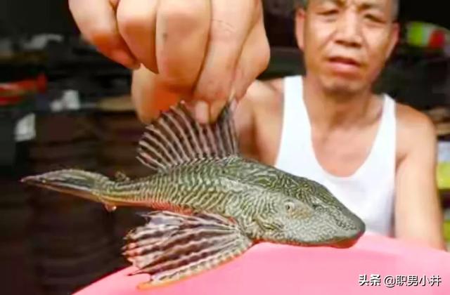 小时候在农村，听过哪些骇人的传闻？（例如，狼叼小孩）
