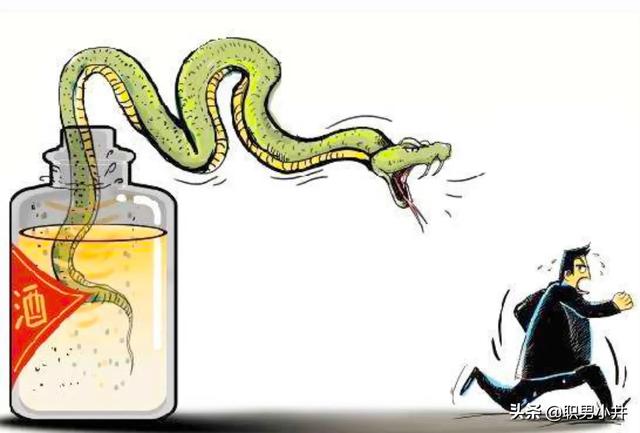 蛇泡到酒裡，蛇身體裡寄生蟲會被酒泡死嗎？喝瞭會感染寄生蟲嗎？