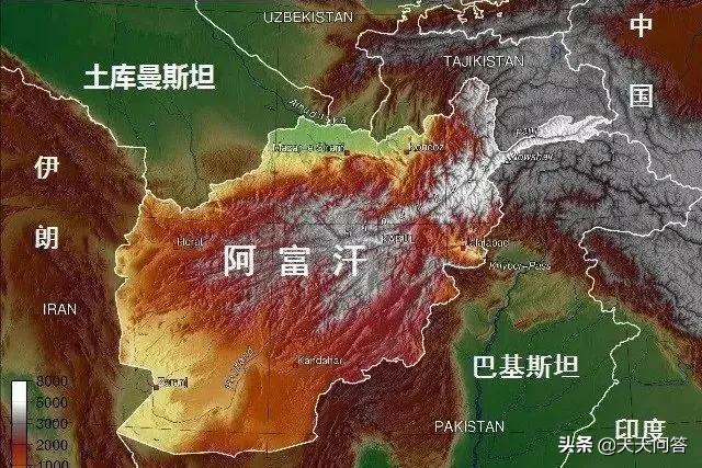 阿富汗犬价格:10000元去阿富汗能生活多久？