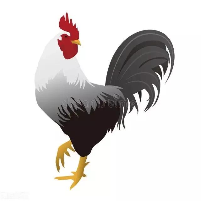 生肖鸡最喜欢什么人？最怕什么人？