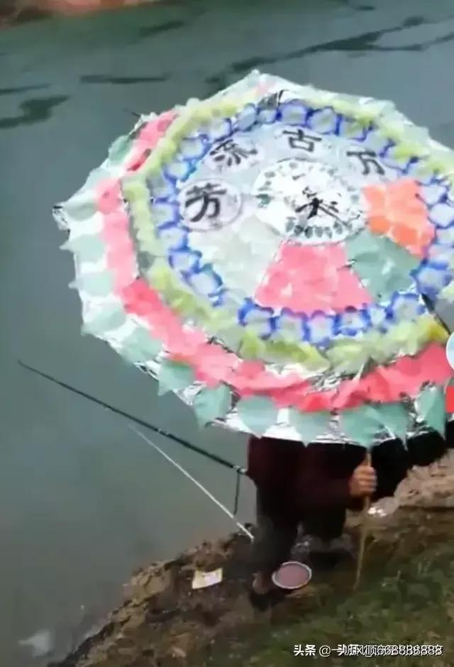 渔民发现灵异事件:渔民打鱼发现像龙的“物种”, 真的是龙的后代吗？