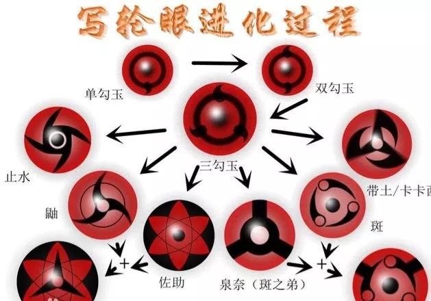 动漫火影博人传中佐良娜的写轮眼为何是单勾玉,真相是什么?-生活百科