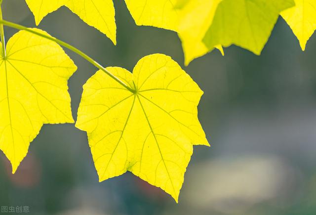 微信中最让你恶心的一项功能是什么？插图