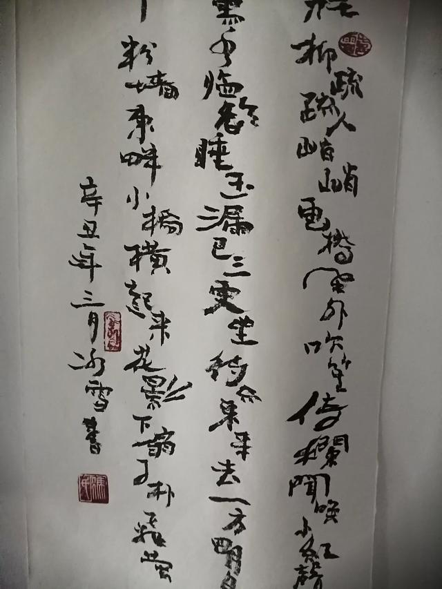男子谋生杀猫卖钱细节曝光:有些街头书法堪比专业书法家，为什么感觉不受重视？
