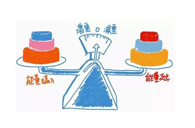 减肥时该吃的主食怎样搭配三餐？