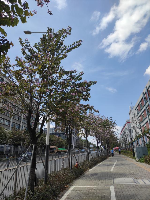 狗狗东西在我里面拔出不来了在线观看:陕西男子腹痛，从体内取出20厘米木瓜。医生惊呆，咋回事？