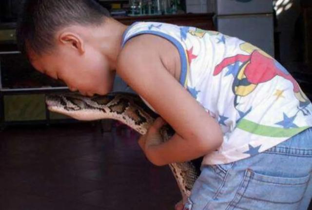 大家听过或经历过最感人的动物报恩的故事是什么？插图56