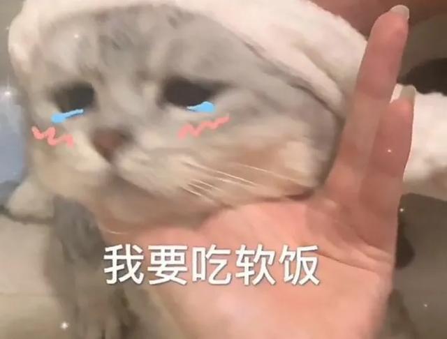 你<a href=https://maguai.com/list/256-0-0.html target=_blank class=infotextkey><a href=https://maguai.com/list/256-0-0.html target=_blank class=infotextkey>朋友圈</a></a>发过最<a href=https://maguai.com/list/39-0-0.html target=_blank class=infotextkey><a href=https://maguai.com/list/39-0-0.html target=_blank class=infotextkey>搞笑</a></a>的句子是什么