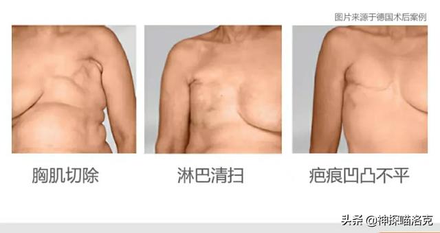 犬姐妹 txt小说:女团姐妹txt电子书下载 你看过哪些至今难忘的小说？