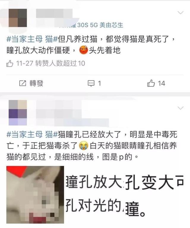 宠物志愿 全cg:宠物志愿全cg攻略 “杀狗虐猫”的影视剧，什么时候凉？