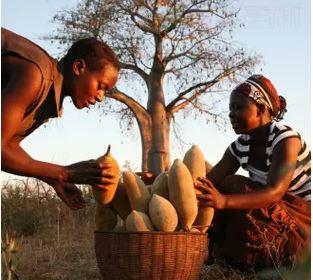 非洲人一般都吃什么呢？插图33