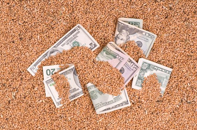 如果要长期持有一只股票，是消费类好，还是医药类好？插图