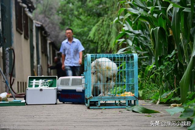 魔兽通缉加布拉坎在哪:情侣住酒店遇到查房会被拘留吗？