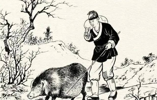 大家听过或经历过最感人的动物报恩的故事是什么？插图35