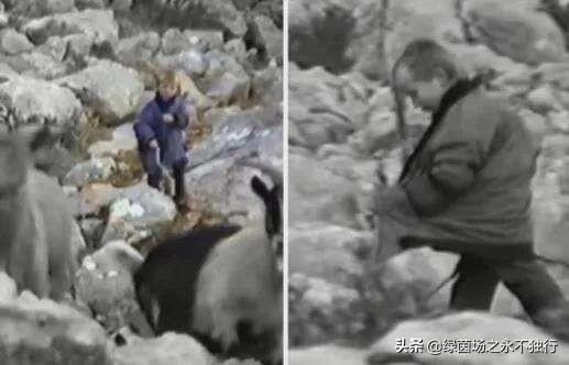 莫德里奇究竟有多出色？插图3