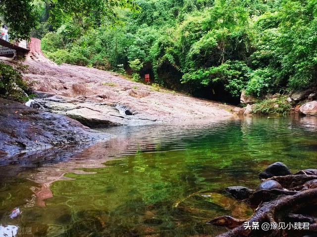 波斯猫儿户外短裤:为什么说：女孩千万不要独自一个穿瑜伽裤爬山？瑜伽裤有猫腻吗？