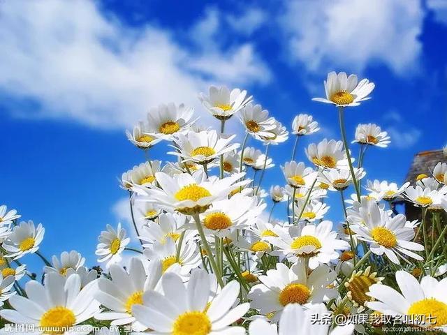 朋友圈把你屏蔽的人,你看不到TA的朋友圈,应该把TA删除吗？