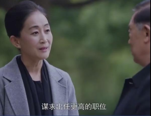 李满林:电视剧《突围》中林满江想要谋求的高位是汉东省省长吗为什么