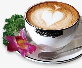 我们喝的咖啡为什么叫拿铁、美式和卡布奇诺？插图23